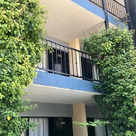 Hotel Nuevo Vallarta Zapopan Zewnętrze zdjęcie